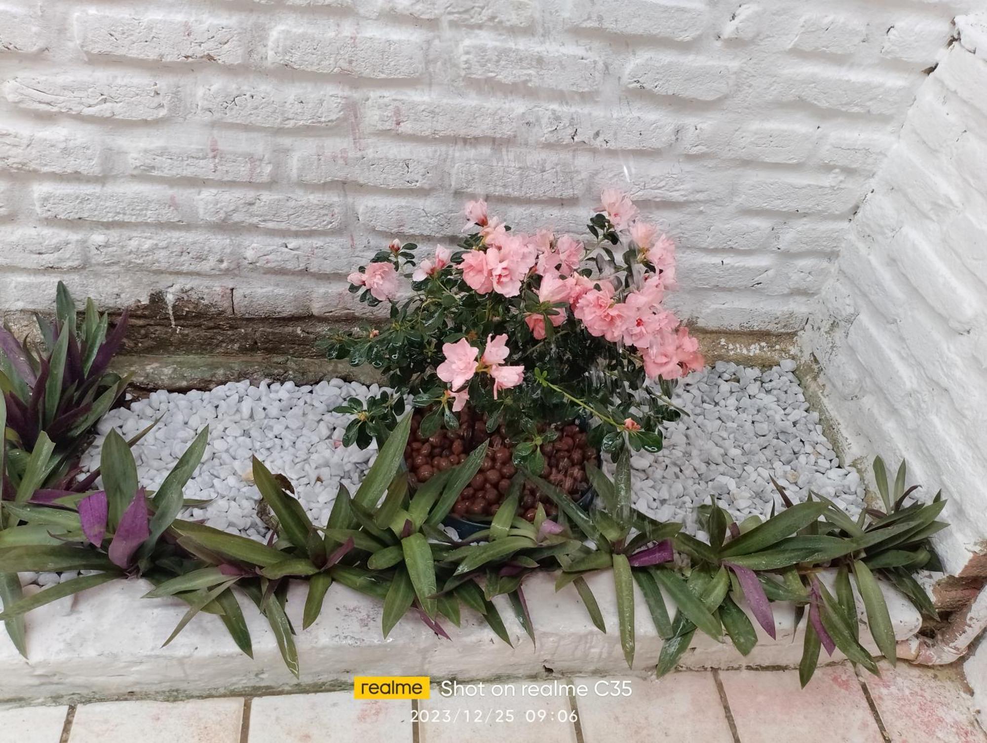 Pousada Sol Nascente 贝贝里比 外观 照片
